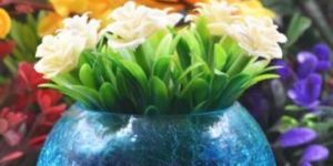 Home Decor Glass Vase