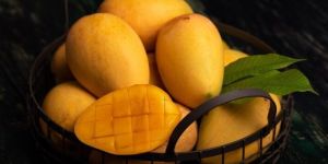 Fresh Devgad Alphonso Mango