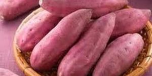 Fresh Sweet Potato
