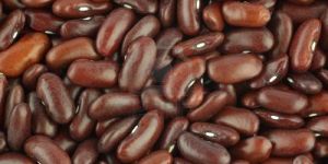 Brown Kidney Beans
