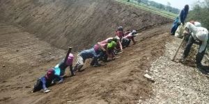 Agricultural Pond Farming Construction Services