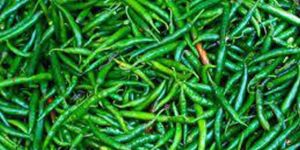 Fresh Green Chilly
