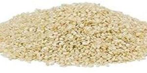 Sesame Seeds