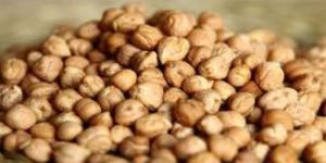 White Chickpeas