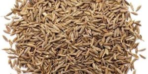 Cumin Seeds