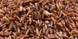 Cambodian Red Rice