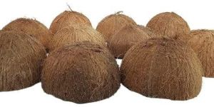 Raw Coconut Shells