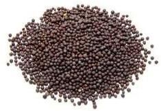 Black Mustard Seeds