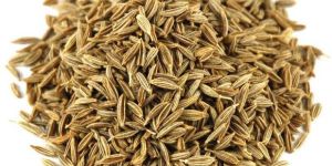 Cumin Seeds