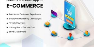 E-commerce Web development Services