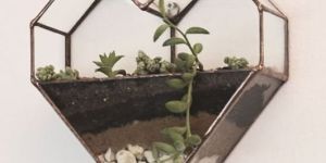 Wall Mounted Glass Terrarium