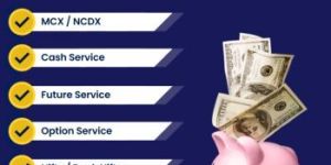 Funds Investment Services