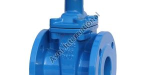 Gate Valve