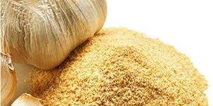 Dehydrated Garlic Powder