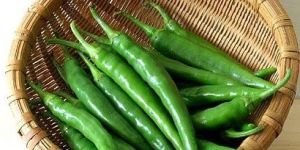 Fresh Green Chilli