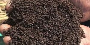 10 Kg Biofasst Vermicompost Fertilizer