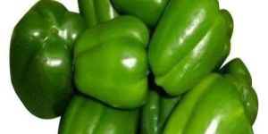 Green Capsicum