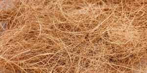 Coconut Coir Fiber