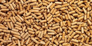 Biomass Pellets