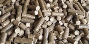 Sawdust Biomass Briquettes