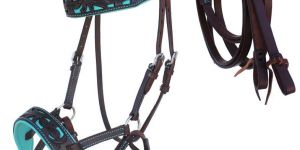 Black Leather V Shape Browband Crossover Bitless Bridle