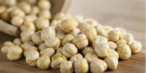 Chickpeas Seeds