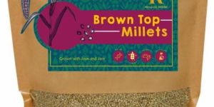 Brown Top Millets