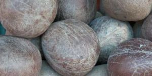 Coconut Copra
