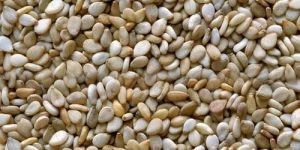 Sesame Seeds