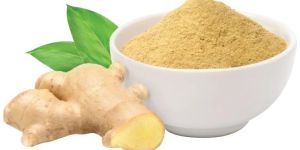 Dehydrated Ginger Powder