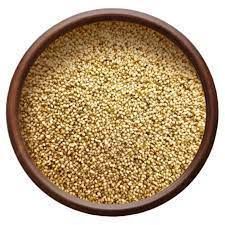 Foxtail Millet