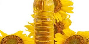 Sunflower Oil