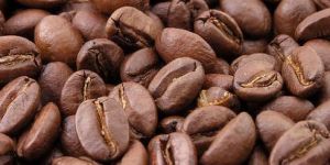 Medium Roast Coffee Beans