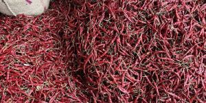 Dried Red Chili