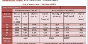 Mahindra Finance Fd Service