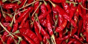 Dry Red Chili