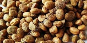 Chironji Seeds