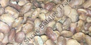 Karanj Seeds