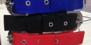 Dog Collars