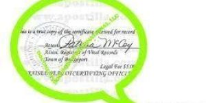 Index II Certified Copy Documentation Service