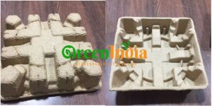 Molded Pulp Tray