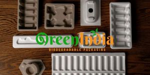 Paper Pulp Moulded Packaging