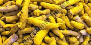 Whole Turmeric Finger