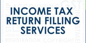 Income Tax Consultant