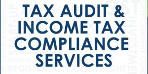 Tax Audit Services