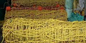 Scramble Nets