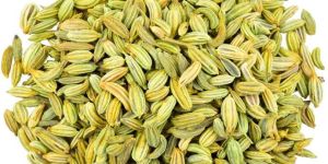 Fennel Seed
