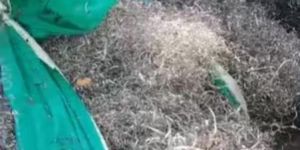 Aluminium Turning Scrap