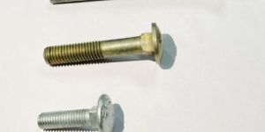 Stainless Steel Carriage Bolt