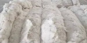 White Processed Cotton